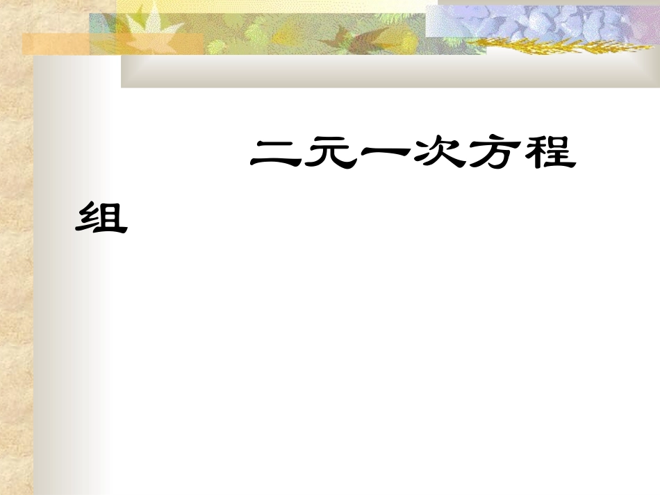 二元一次方程组(新)_第1页