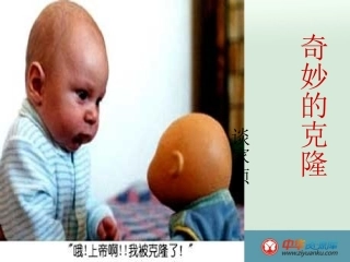 奇妙的克隆技术