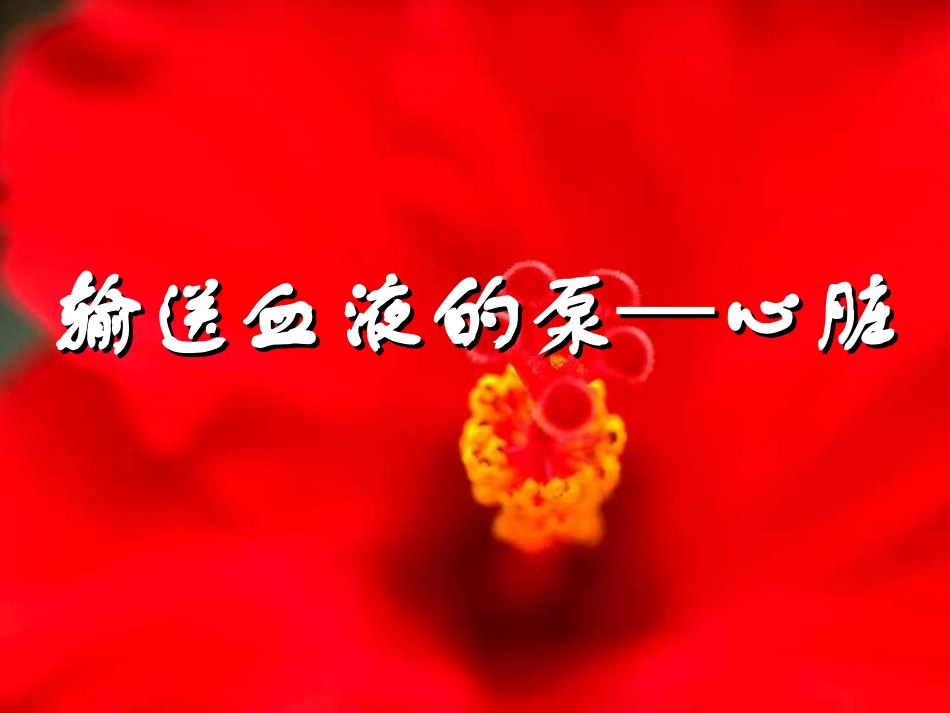 输送血液的泵-心脏ppt_第3页