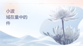 小波变换特点应用领域在测量中的应用课件
