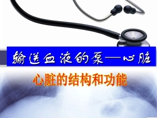 输送血液泵——心脏完整版