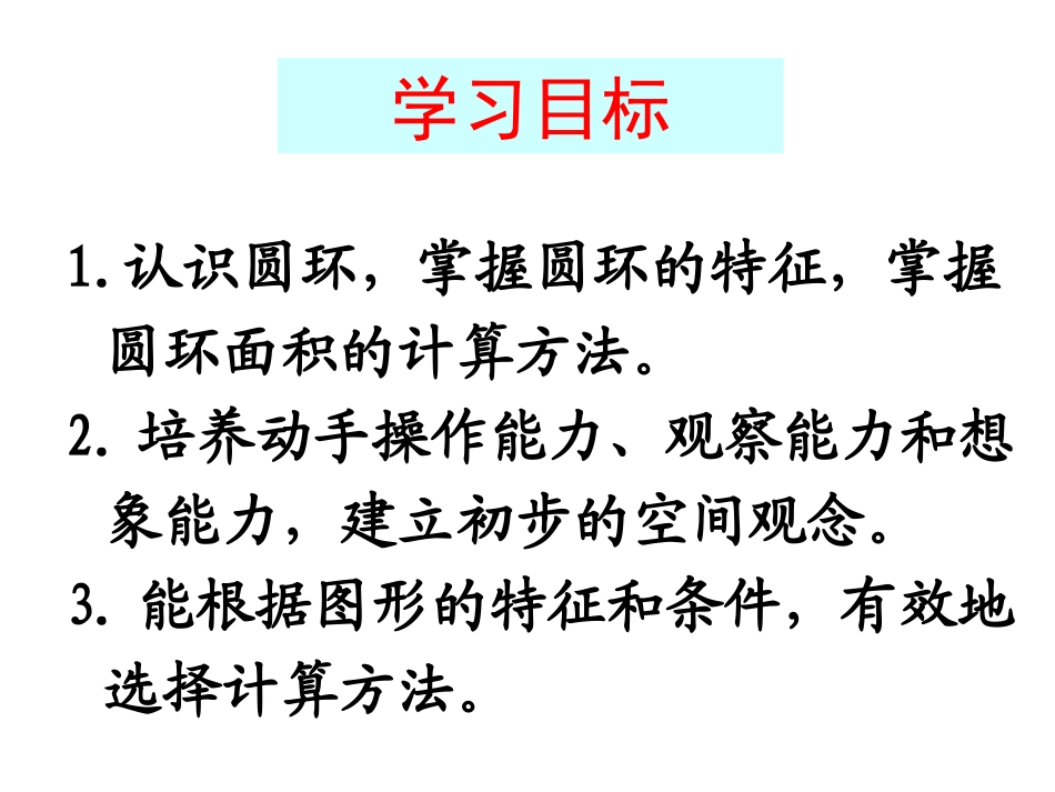 圆环的面积 (2)_第2页