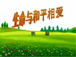 生命与和平相爱好