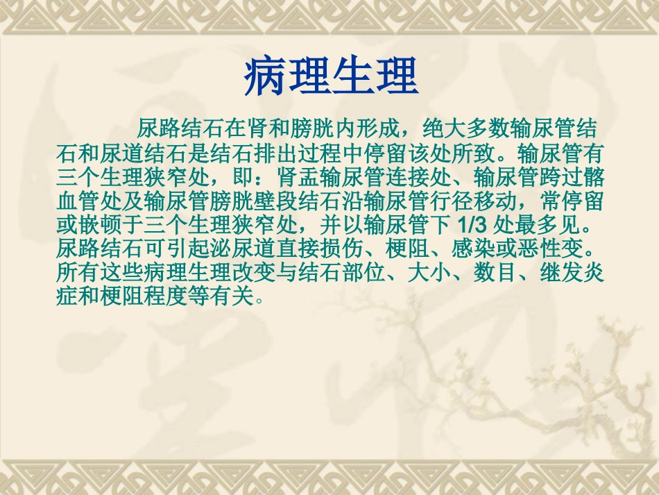 输尿管结石及钬激光碎石术_第3页