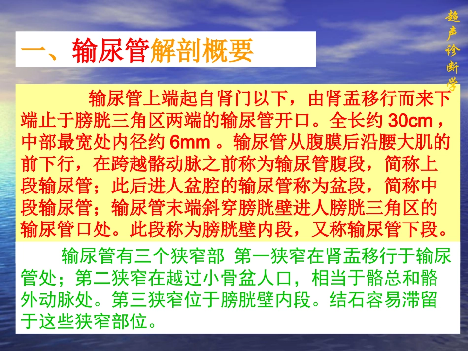 输尿管的超声诊断学_第1页