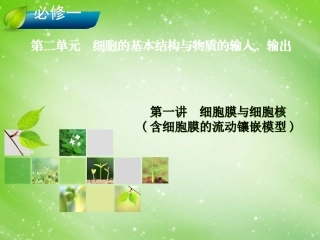 输出细胞膜与细胞核