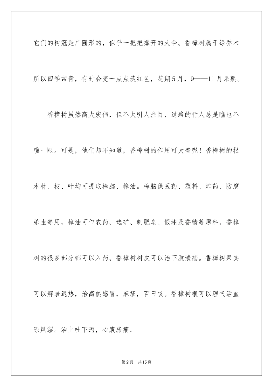 2024写香樟树作文_24_第2页