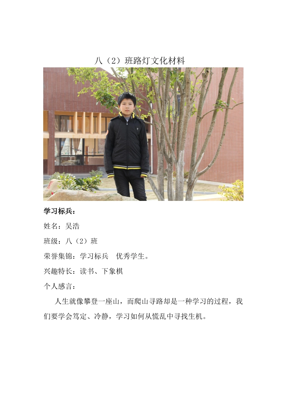 八（2）路灯文化材料（有照片）_第1页