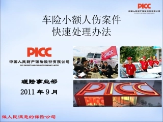 车险小额人伤快速处理总公司课件