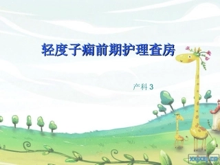 轻子痫前期护理