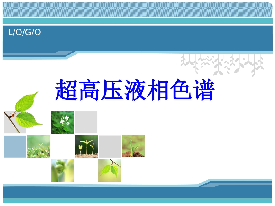 超高压液相色谱_第1页
