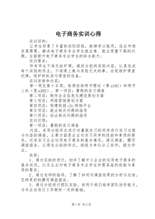 电子商务实训心得