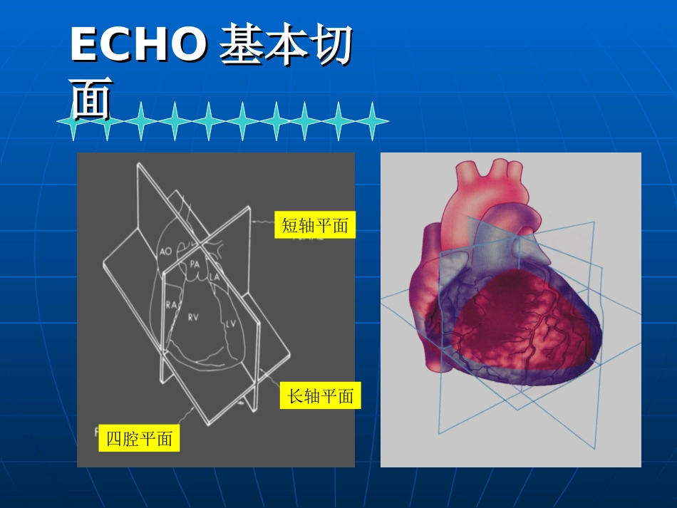 超声心动图标准切面与正常值谢道银北三_第3页