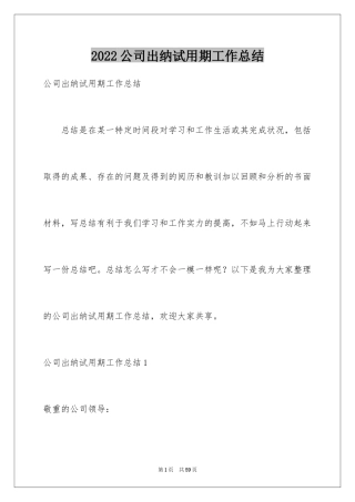2024公司出纳试用期工作总结