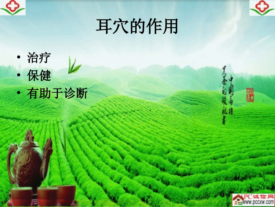 贴耳穴-操作方便非常实用性_第3页