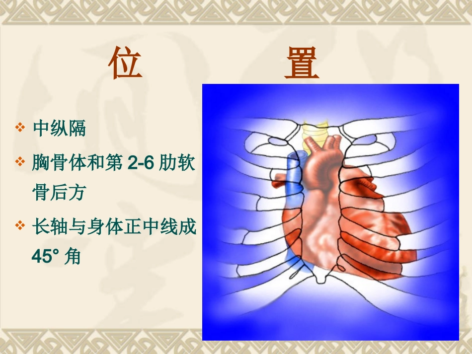 超声心动图基础_第2页