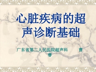 超声心动图基础