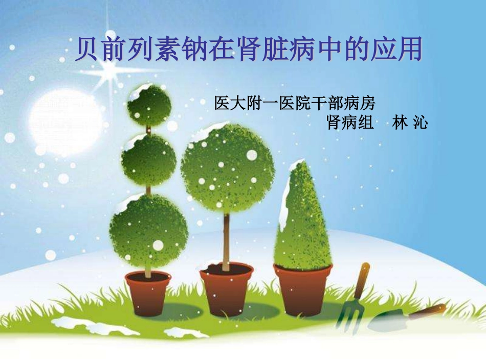 贝前列腺素在糖尿病肾病中的应用_第1页
