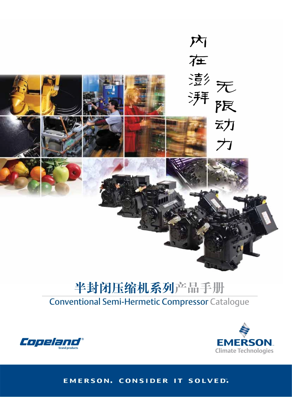 谷轮压缩机(半封闭)_第1页