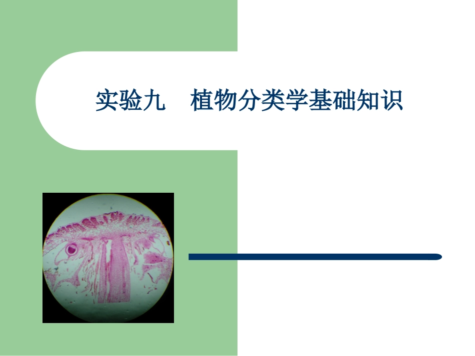 试验一植物细胞_第2页