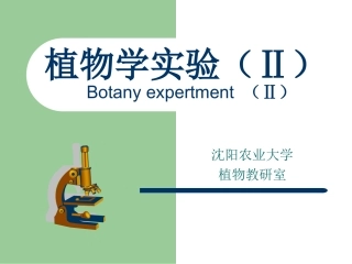 试验一植物细胞