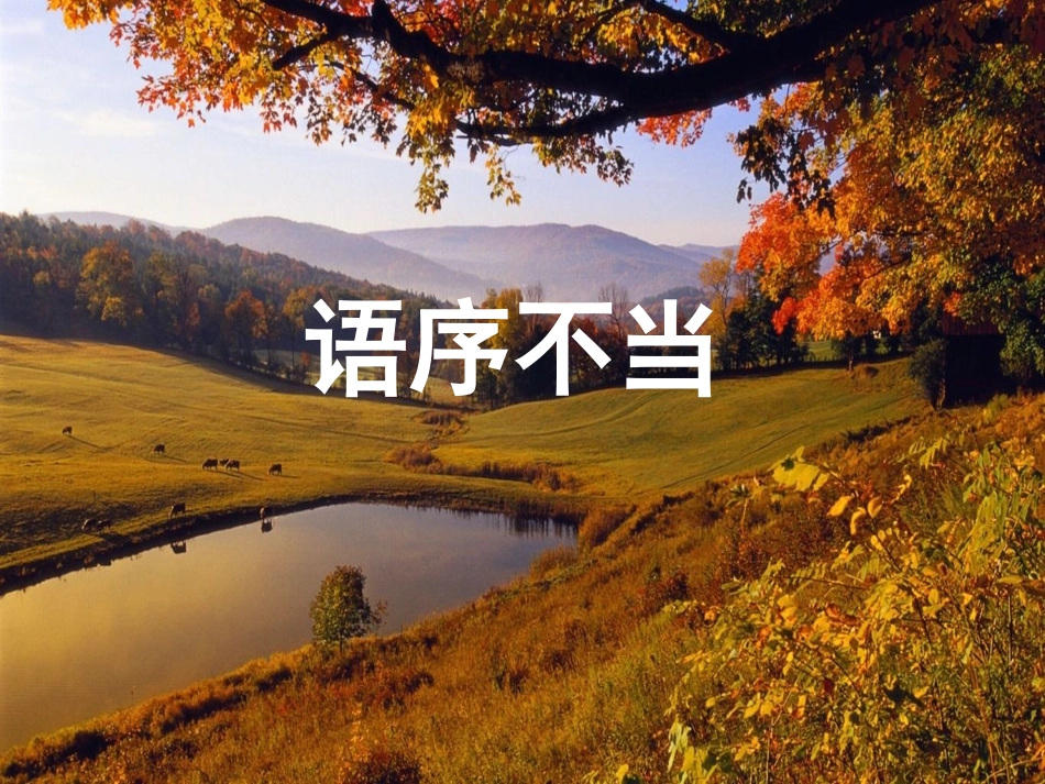 详细病句一轮复习专用剖析_第3页