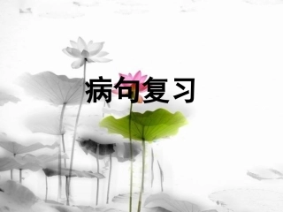 详细病句一轮复习专用剖析