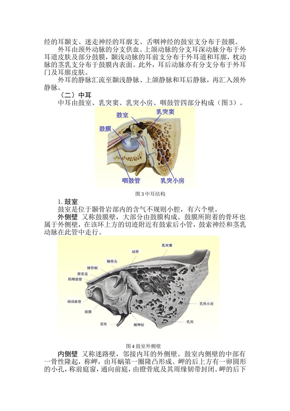 试论外耳门与内耳门是否相通_第2页