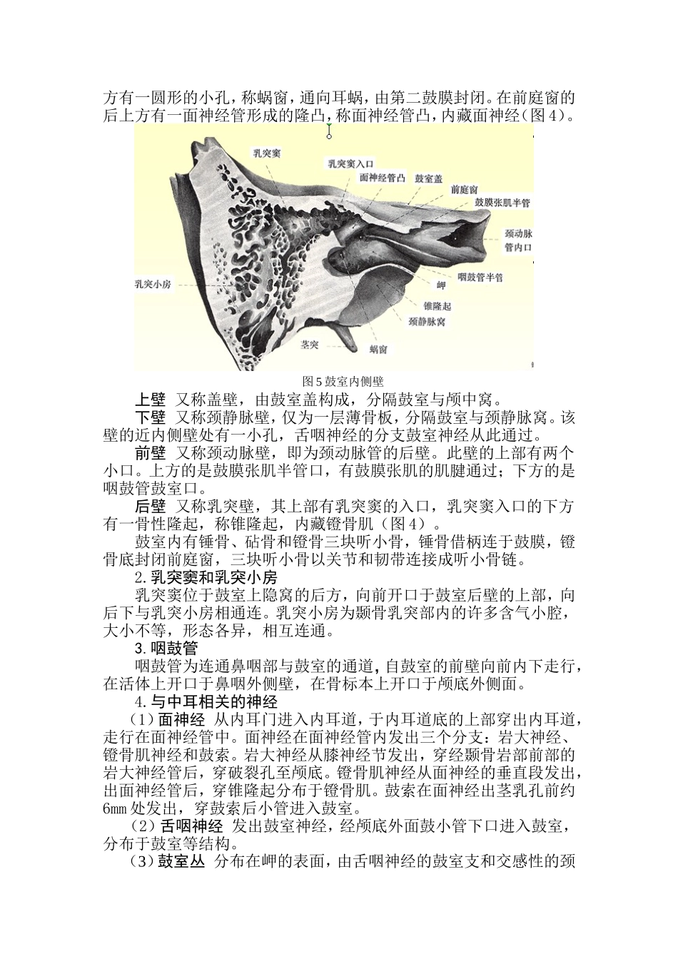 试论外耳门与内耳门是否相通_第3页