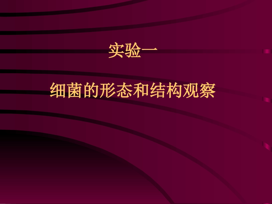 试验二细菌的染色和细菌细胞构造的观察_第2页