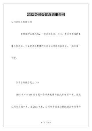 2024公司会议总结报告书