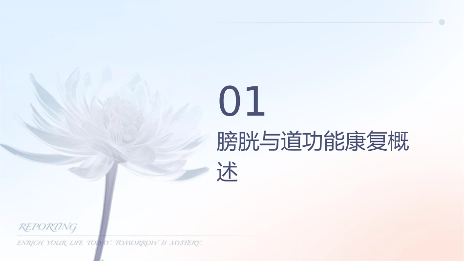 康复技术膀胱与肠道功能康复护理课件_第3页