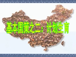 计划生育的基本国策