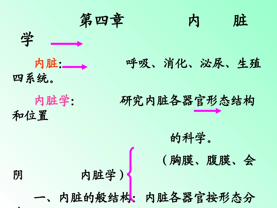 解剖学内脏知识笔记大全_第1页
