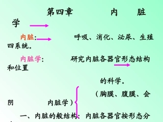 解剖学内脏知识笔记大全