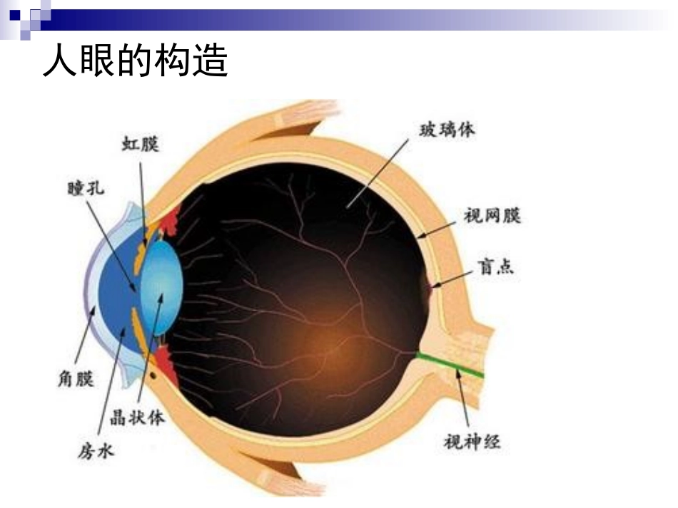 解剖病例分析_第3页