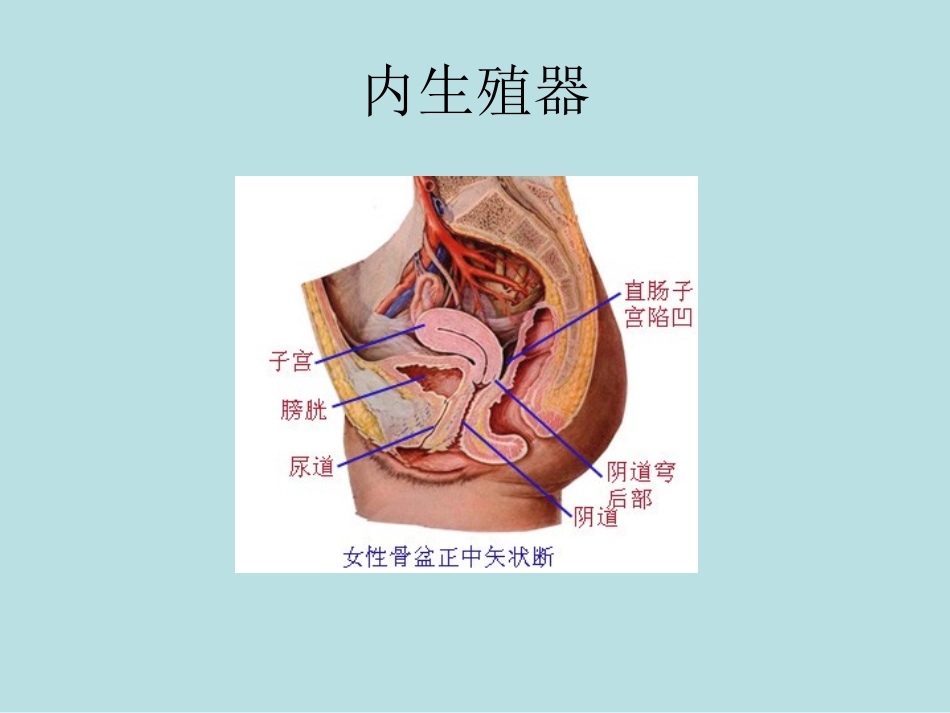 视频配套图 2013妇产配套图_第3页