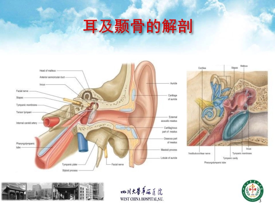 视频链接3耳聋deafnesshearingloss-四川大学_第3页
