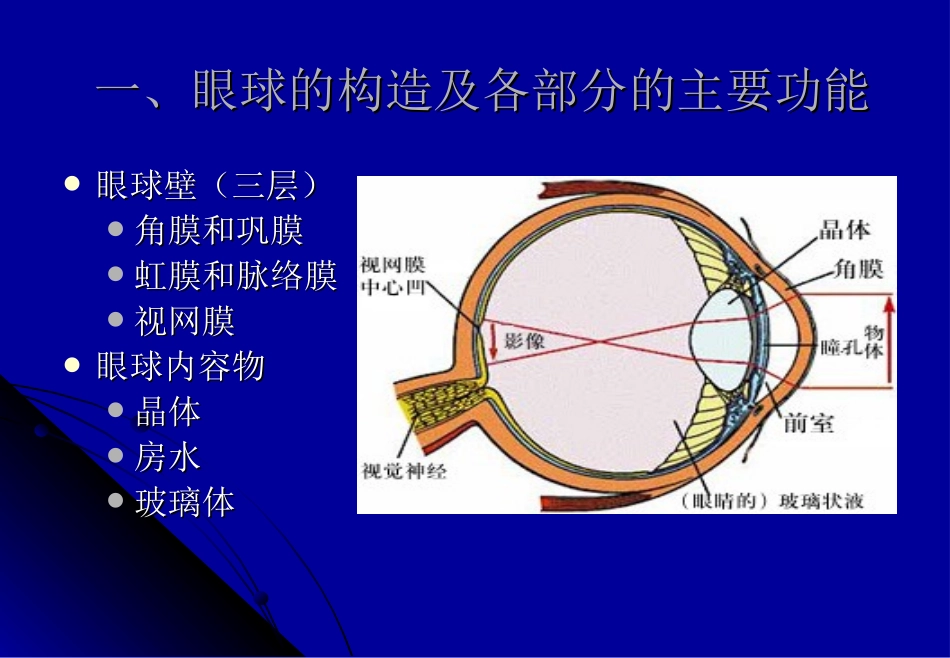 视觉及知觉基本概念_第2页