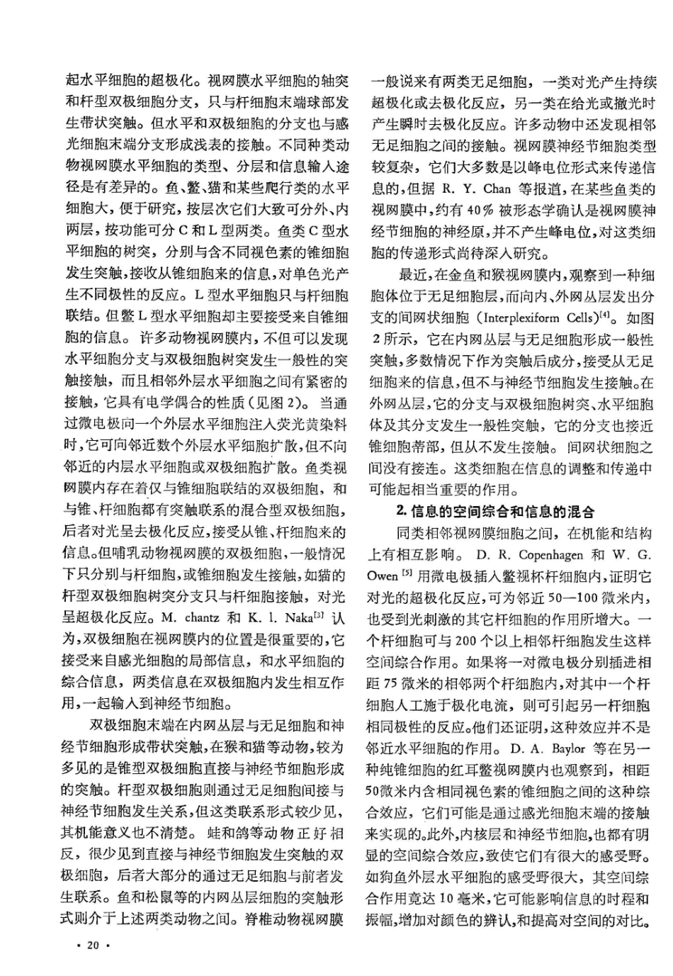 视网膜神经网络的信息传递_第2页