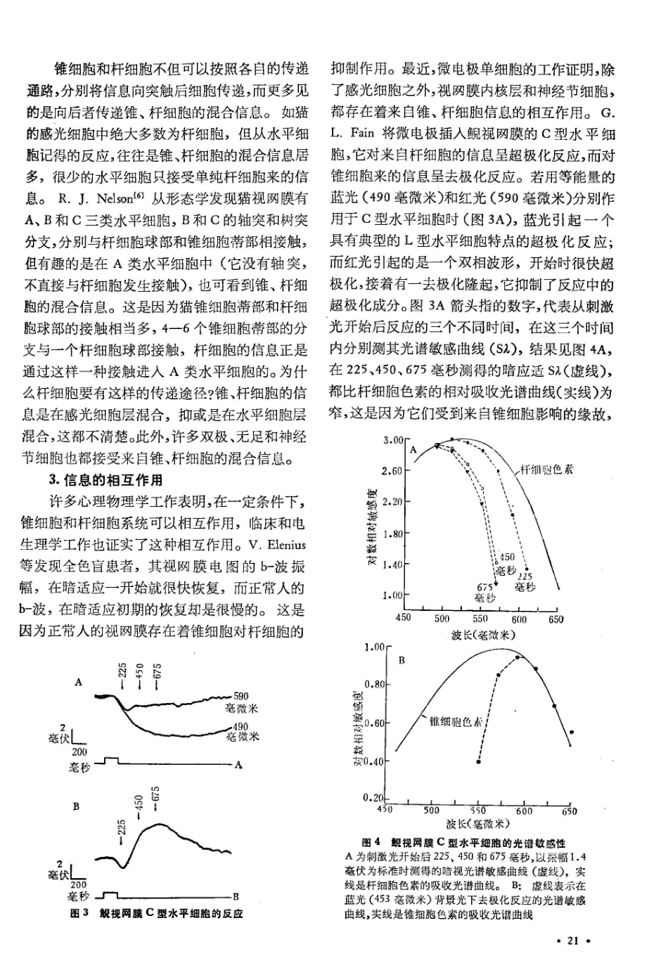 视网膜神经网络的信息传递_第3页