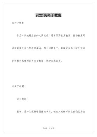 2024夹夹子教案_1