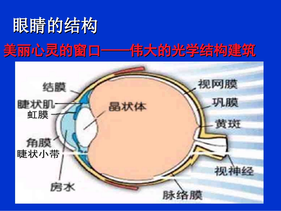 视力保健专题知识讲座_第3页