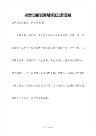 2024出纳试用期转正工作总结_1
