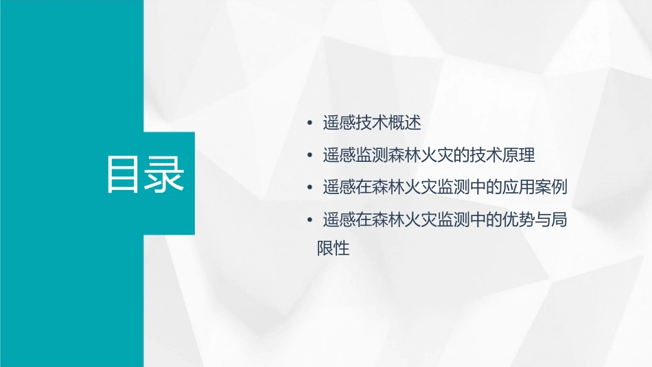 遥感在森林火灾监测中的应用分解课件_第2页