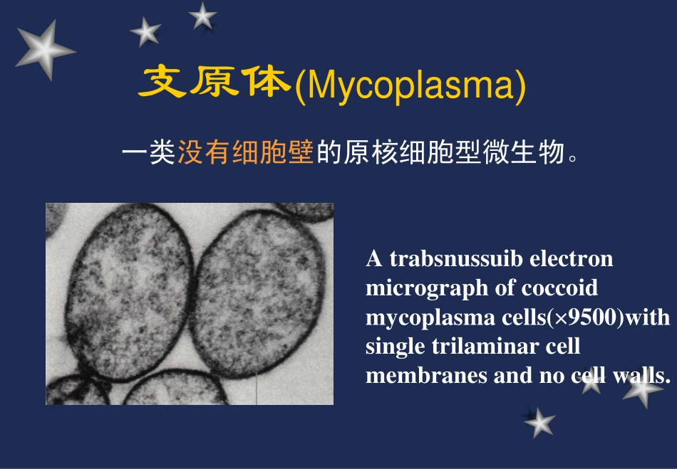 衣原体、支原体、立克次体_第3页