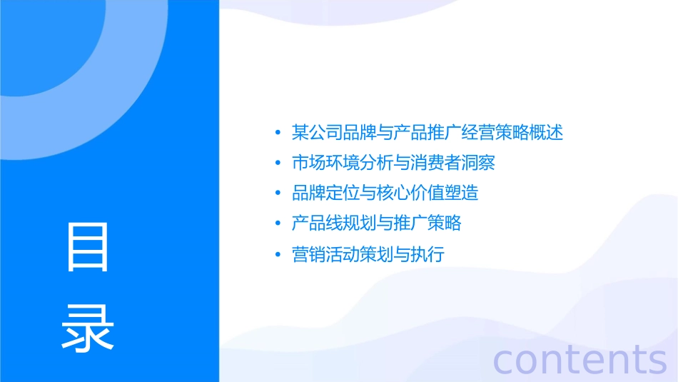 某公司年度品牌与产品推广经营策略课件_第2页