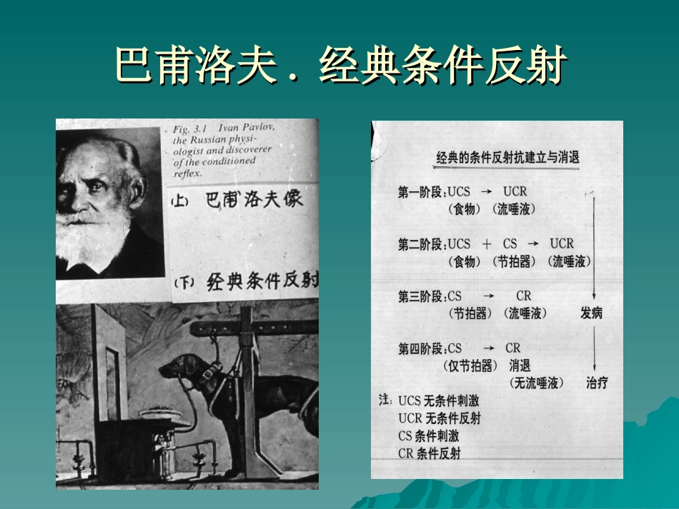 行为主义疗法_第2页