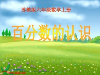苏教版数学六年级上册《百分数的认识》PPT课件之二