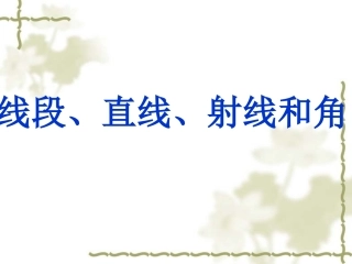直线、射线和角 (3)